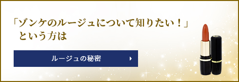 「ゾンケのルージュについて知りたい！」という方は